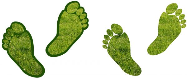 Carbon footprint and it's benefits for businesses - EEC